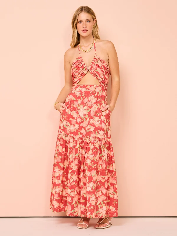 Velvet maxi dressesPeony Reminisce Maxi Dress in Sourvenirs